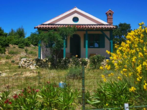 Arya House